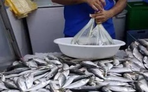 "السردين" للمغاربة أولا.. قرار حكومي بمنع التصدير لحماية "سمك الفقراء" من غلاء الأسواق 