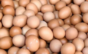 “أونسا” تحذر المغاربة من مخاطر استهلاك البيض قبيل رمضان
