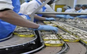 إسبانيا تدق ناقوس الخطر بعد وقف تصدير السردين المغربي