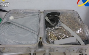 إفشال محاولة لتهريب شحنة من "الماريجوانا" بمطار مليلية