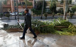 وفاة امرأة من أصول مغربية إثر سقوط نخلة عليها في إسبانيا بسبب العاصفة "جوزيف"