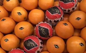 أوروبا تشرع دخول منتجات مغربية من الصحراء رغم اعتراضات إسبانية