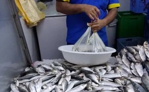 كتابة الدولة للصيد البحري: تقييد تصدير السردين إجراء ظرفي لدعم السوق الوطنية