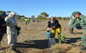 أرقام صادمة عن التشجير بالمغرب: 56٪ فقط نسبة النجاح لهذا السبب