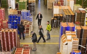 الأمطار في المغرب وجنوب إسبانيا تربك إمدادات الخضر والفواكه ببلجيكا وهولندا