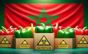 اتهامات إسبانية متكررة تطارد الفلاحة المغربية.. هل هي حرب اقتصادية مقنعة؟