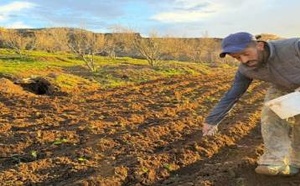 الناظور في صدارة التساقطات بالجهة الشرقية: أرقام تنهي جفاف 9 سنوات بالمنطقة