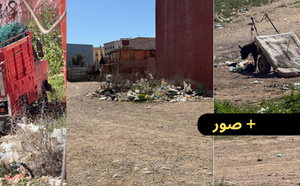 فوضى ودواب ونفايات بحي أولاد بوطيب ومواطنون يناشدون السلطات ويطالبونها بالتدخل 