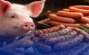 طمأنة رسمية للمغاربة.. أمعاء الخنزير المستوردة مخصصة للتصدير فقط