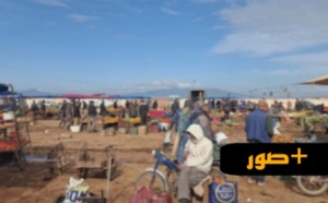 بين الخضر والفواكه واللحوم.. جولة ميدانية تكشف واقع الأسعار بأسواق الناظور