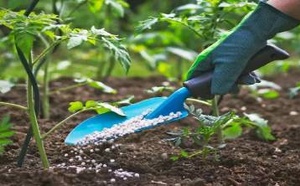 تقرير عالمي: المغرب على أعتاب تعزيز موقعه في أسواق الأسمدة وسط توترات الخليج