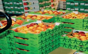 المغرب يتصدر واردات الخضر إلى إسبانيا بنسبة 42% وفق تقرير اقتصادي حديث