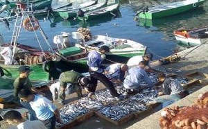 تراجع لافت في مفرغات الصيد بالحسيمة بنسبة 32 في المائة يثير تساؤلات حول وضع القطاع