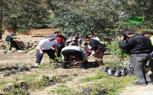 شراكة مغربية هولندية تدعم التشجير بالدريوش.. 800 شتلة لفائدة الفلاحين بـ " إفرني"