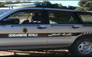 توقيف خمسيني يشتغل فقيها وحجز أزيد من 270 كلغ من المخدرات