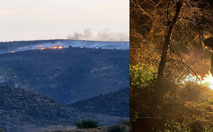 ألسنة اللهب تلتهم الغابات بالدريوش.. هل كانت “نزهة” وراء الحريق؟