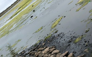 طحالب ونفايات ببحيرة مارتشيكا تقلق فعاليات مدنية والأنظار تتجه صوب وكالة التهيئة