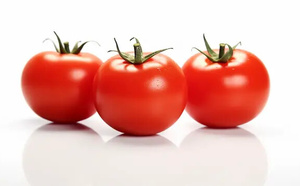 الطماطم تلتحق بصفوف "المجوهرات" وتلامس 18 درهماً للكيلوغرام الواحد