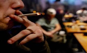 هولندا تغير قواعد اللعبة بسبب التقنين.. والقنب المغربي يفقد جزءا من بريقه