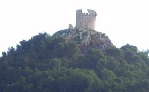 ثازوضا وطريق كروكو على طاولة البرلمان.. سؤال يفتح ملف التنمية بالناظور