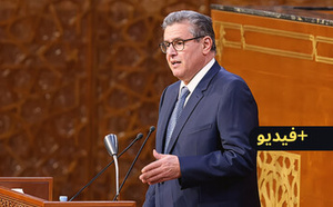 “هادشي لي بغا المواطن”.. أخنوش يحذر "الكسابة" من انخفاض أسعار الأضاحي بسبب تأخرهم في ولوج الأسواق