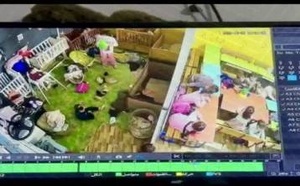 فاجعة حضانة طنجة.. السجن النافذ لسيدتين بعد وفاة رضيعة