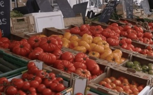 المغرب ضمن أسباب ارتفاع قياسي لأسعار الطماطم في أوروبا
