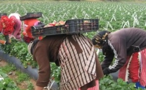 دراسة: المغربيات بالأندلس يواجهن صعوبات في الاندماج المهني