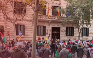 مساطر التسوية في أوروبا تكشف تحديات إدارية في المغرب