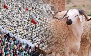 حسابات فلكية ترجّح حلول عيد الأضحى بالمغرب يوم 27 ماي