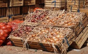 قبل عيد الأضحى.. أسعار البصل تشتعل وتثير غضب الأسر المغربية