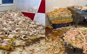 طنجة.. لجنة مختلطة تحجز أطنانا من الدجاج الفاسد في حملة ميدانية