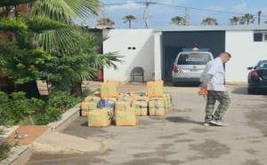إحباط تهريب طن من “الشيرا” وتوقيف 10 مشتبه فيهم