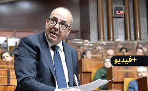 وزير الفلاحة: أسعار الأضاحي تبدأ من 1000 درهم "واللي كيعرف الشناقة يوريهم لينا"