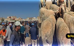 سوق أركمان للمواشي يسجل ركودا ملحوظا وسط شكاوى من ارتفاع الأسعار