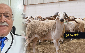 طبيب بالناظور يطمئن مرضى السكري بشأن تناول لحم الأضحية