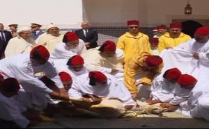 مرفوقا بولي العهد.. الملك محمد السادس يؤدي صلاة عيد الأضحى المبارك برحاب المشور السعيد بالرباط ويمارس شعيرة النحر