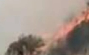 حريق مجهول يستنفر السلطات بمنطقة بادس بالحسيمة والتحقيقات متواصلة لكشف أسبابه