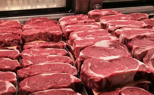أسعار اللحوم الحمراء تبلغ 180 للكيلوغرام ومهني يستبعد أي انخفاض مرتقب 