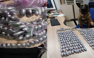 213 "كبسولة" حشيش على جسد امرأة.. تفاصيل إحباط عملية تهريب مثيرة بمعبر تراخال