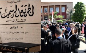 هل يستأنف المحامون العمل بعد صدور قانون المهنة ؟.. عضو بجمعية المحامين الشباب بالناظور يوضح