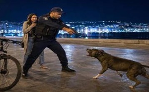 رصاص الأمن يتدخل لإنقاذ سيدة من بين مخالب "بيتبول" شرس