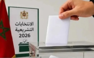 لجنة إقليمية تسجل خروقات خلال العملية الانتخابية بالناظور