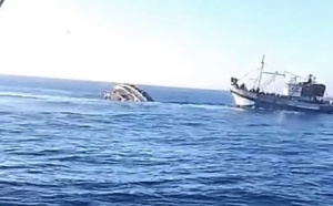 حادث بحري قبالة المهدية.. تسرب مائي مفاجئ يغرق مركب صيد دون خسائر بشرية