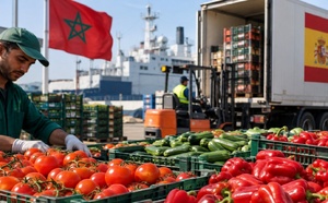 المغرب يتصدر موردي إسبانيا من الخضر والفواكه بقيمة تقارب مليار يورو