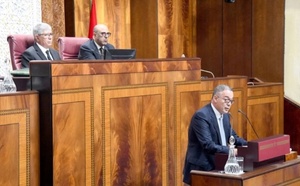 لقجع: الحكومة تعتزم توفير سكن للكراء بأسعار ميسرة لفائدة الشباب