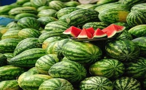 صادرات البطيخ الأحمر.. المغرب يحتفظ بصدارة المزودين لإسبانيا
