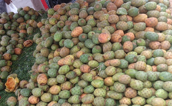 فاكهة "الهندية" تغيب عن الأسواق صيف هذه السنة