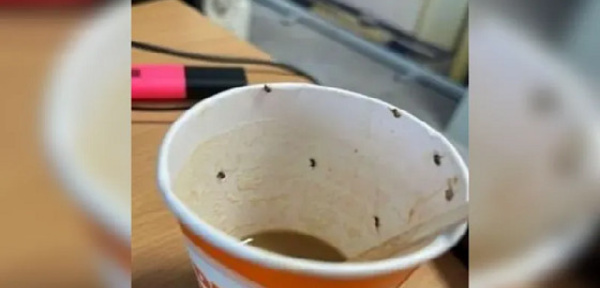 كوب قهوة بالحشرات في مطار اسباني يتسبب في كارثة صحية 