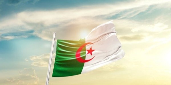 ‎سعار النظام الجزائري يفقده صوابه ويجعله يصنع سيناريوهات هوليودية‎